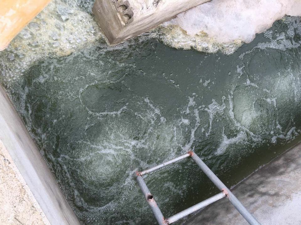 1kg水产养殖消毒2.jpg